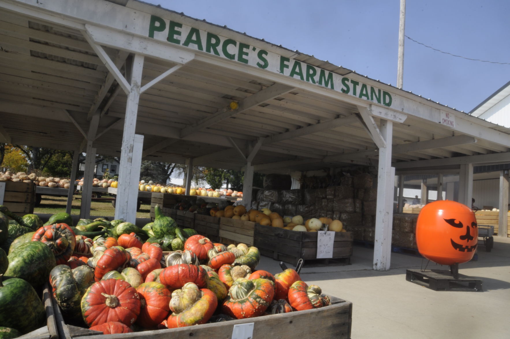 Pearce's Pumpkin Fest